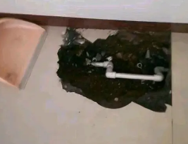 当涂卫生间测漏水多少钱